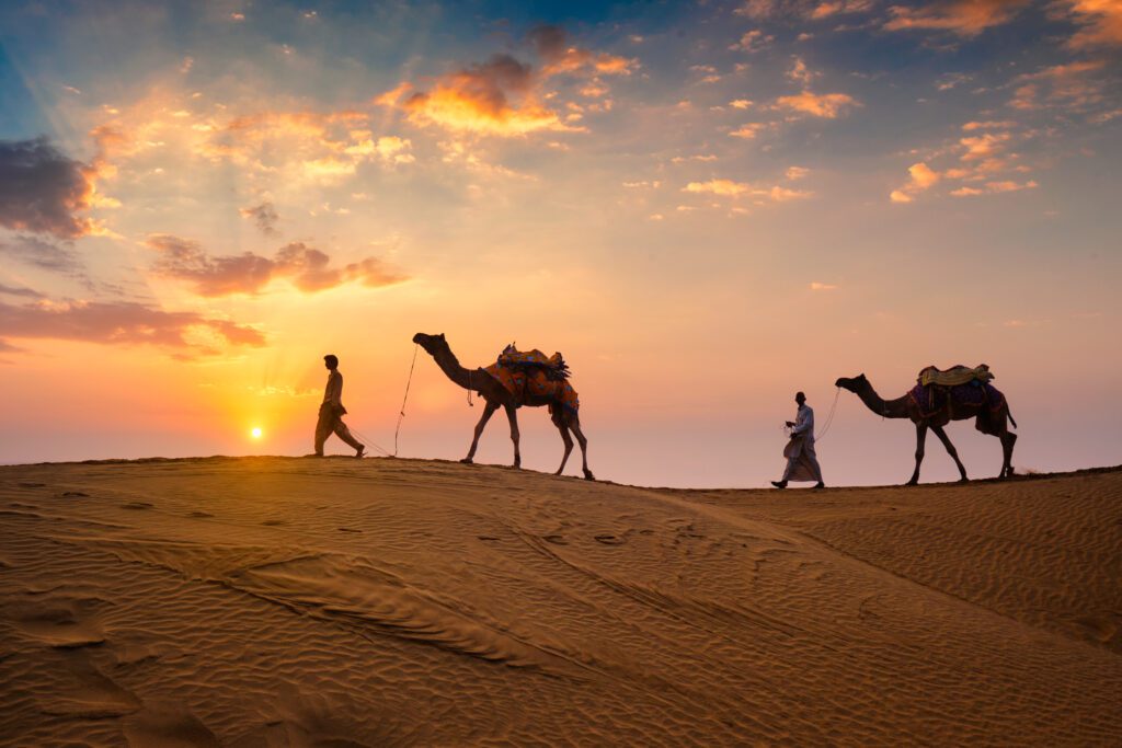 a group of people walking with camels in the desert