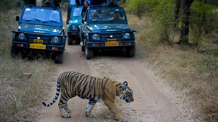 Ranthambore National Park