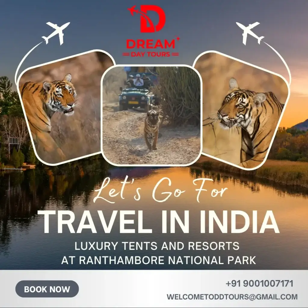 Discover India’s best luxury tents and resorts at Ranthambore National Park