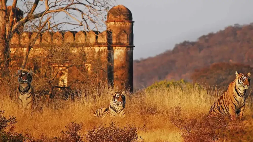 Places to visit in Ranthambore